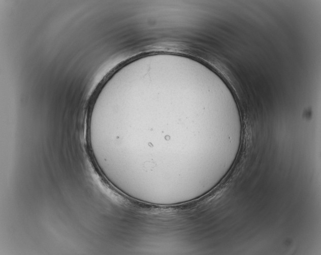 X0000111911131200908171256