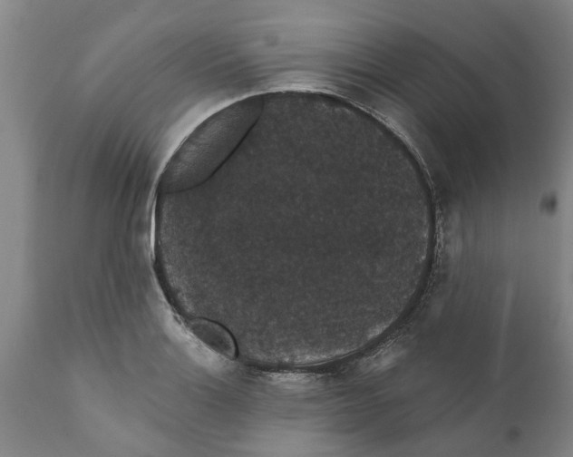 X0000111911132200908171256