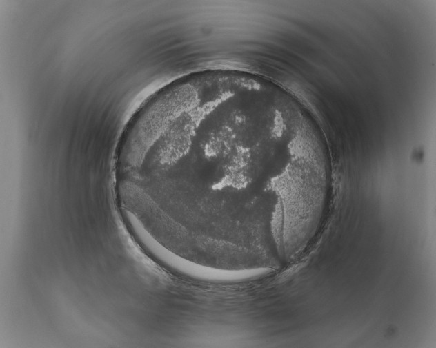 X0000111911133200908171256