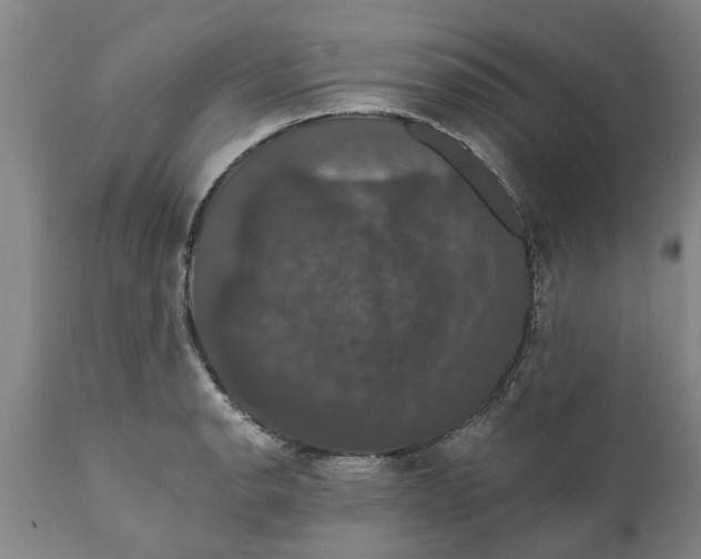 X0000111911134200908171256