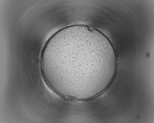 X0000111911135200908171256