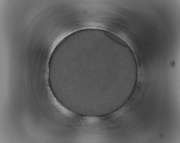 X0000111911136200908171256