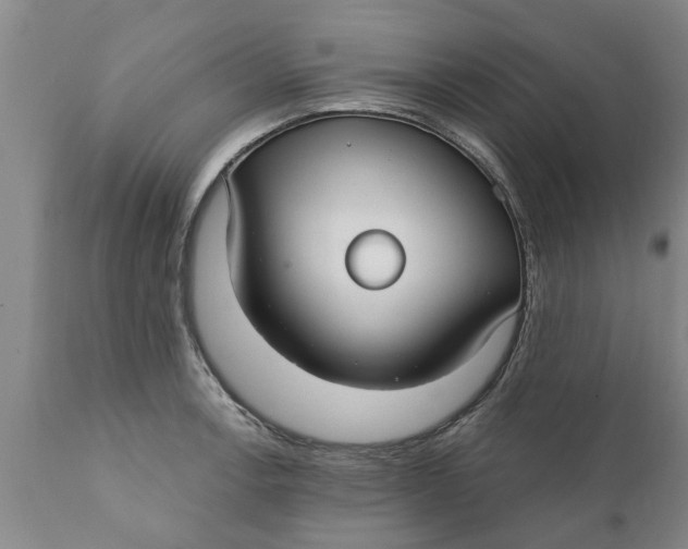 X0000111911138200908171256