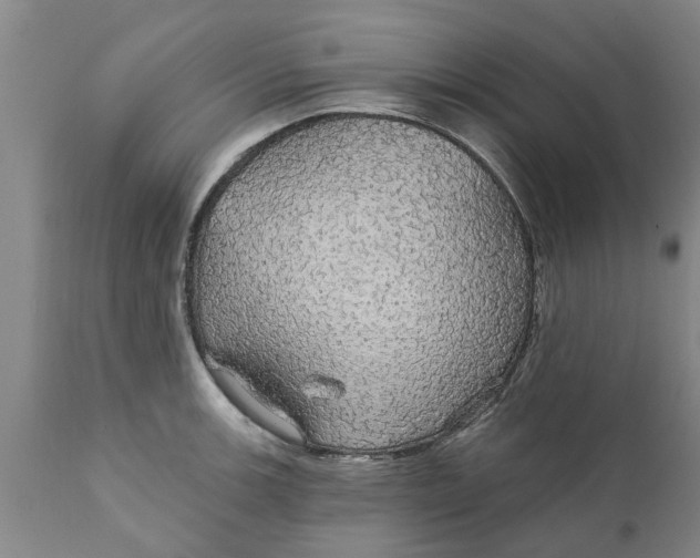 X0000111911139200908171256