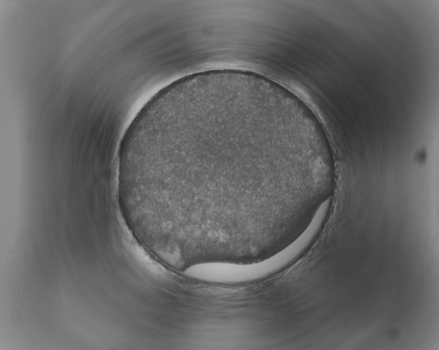 X0000111911140200908171256