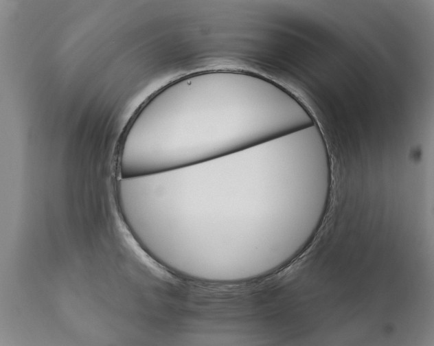 X0000111911142200908171256