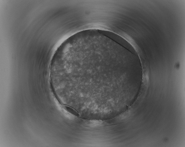 X0000111911144200908171256