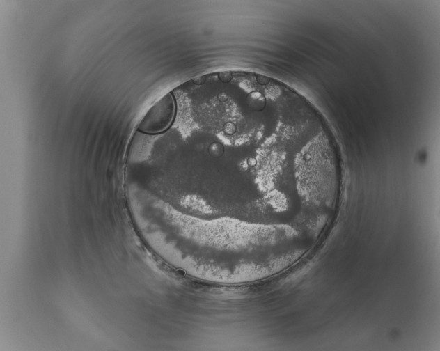 X0000111911145200908171256