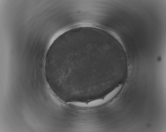 X0000111911146200908171256