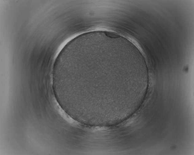 X0000111911148200908171256