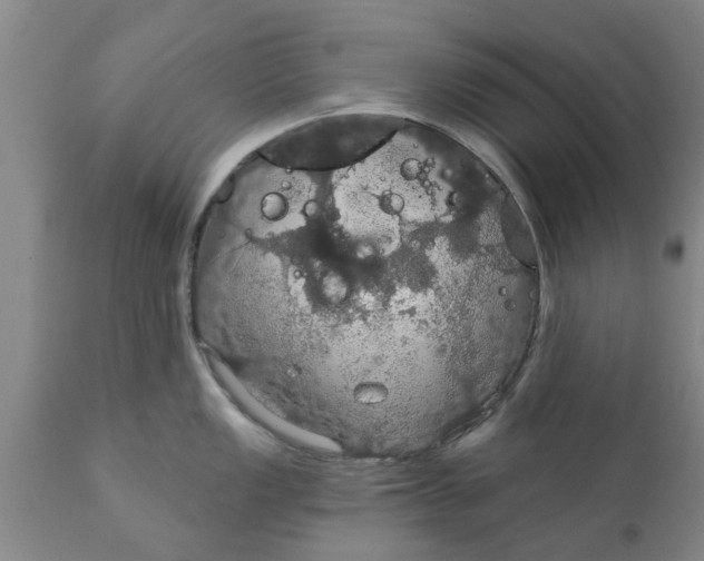 X0000111911149200908171256