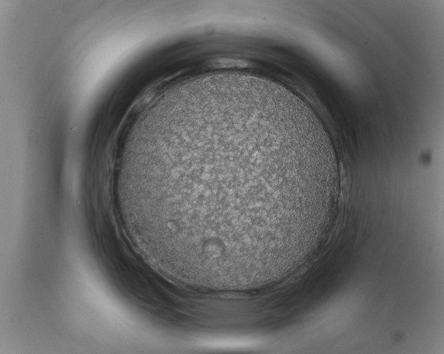 X0000111911151200908171256