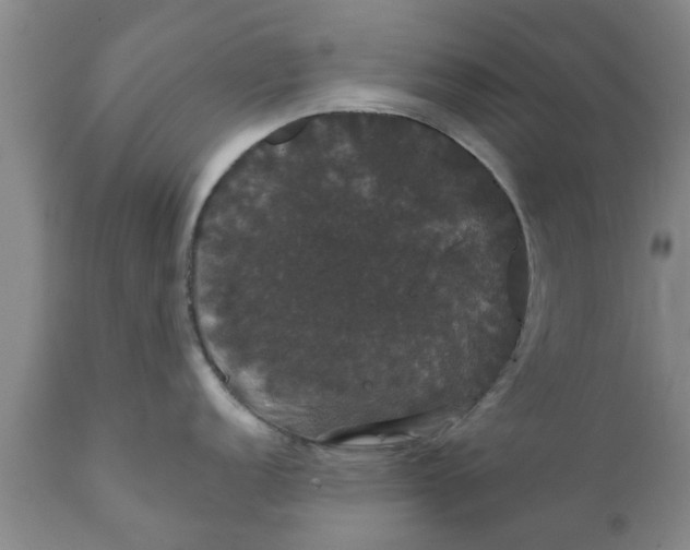 X0000111911152200908171256