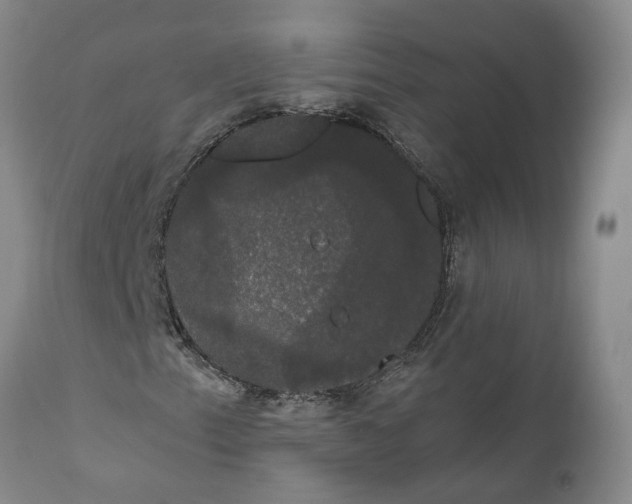 X0000111911153200908171255