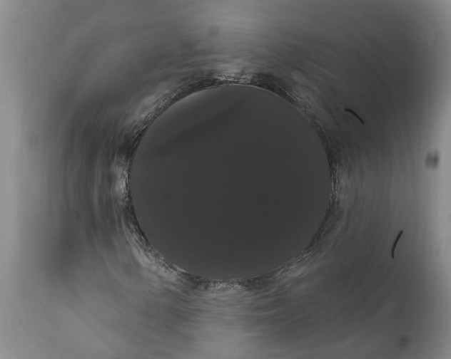 X0000111911154200908171255