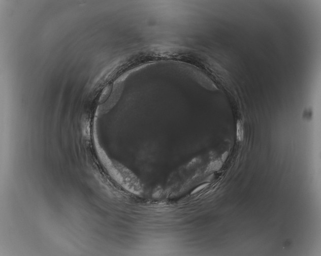 X0000111911155200908171255