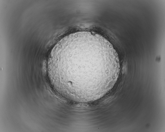 X0000111911156200908171255