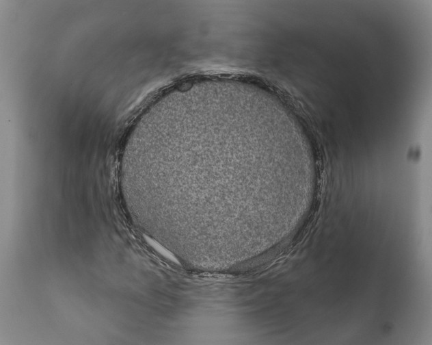 X0000111911157200908171255