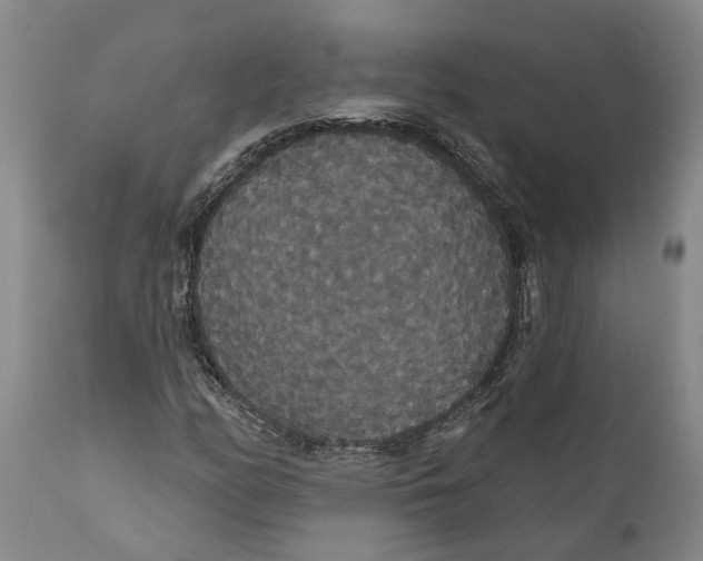 X0000111911158200908171255