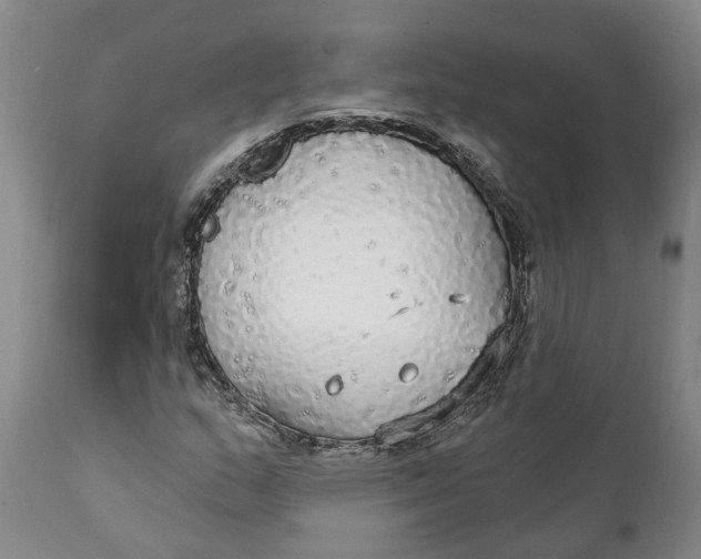 X0000111911159200908171255