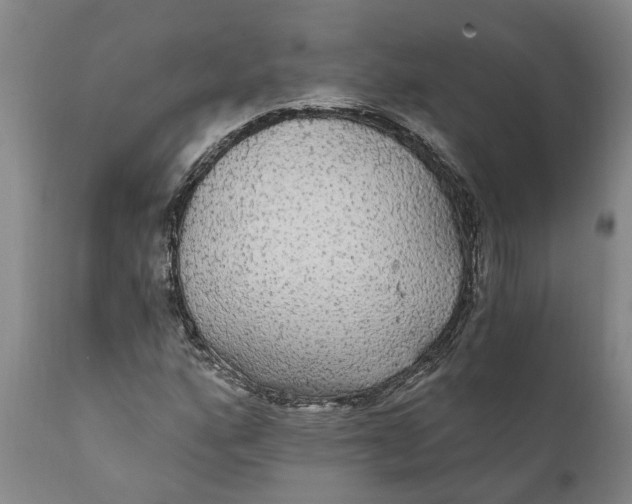 X0000111911160200908171255