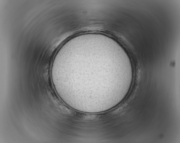 X0000111911162200908171255