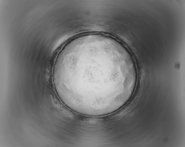 X0000111911163200908171255