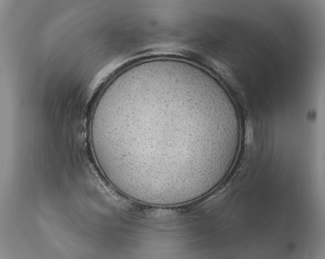 X0000111911164200908171255