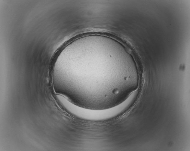 X0000111911165200908171255