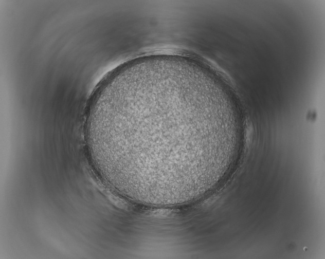 X0000111911166200908171255