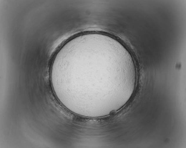 X0000111911167200908171255