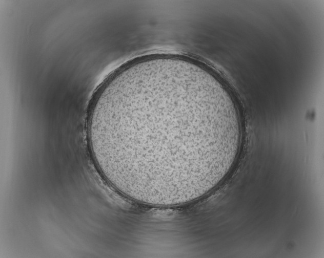 X0000111911168200908171255