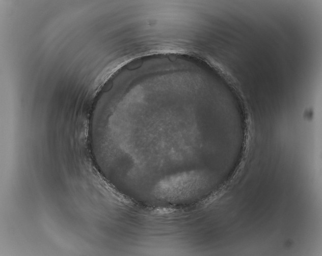 X0000111911169200908171255