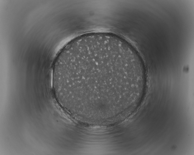 X0000111911171200908171255