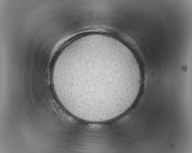 X0000111911172200908171255