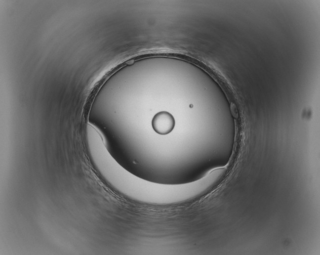 X0000111911173200908171255