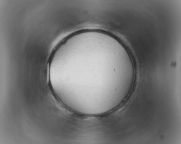 X0000111911175200908171255