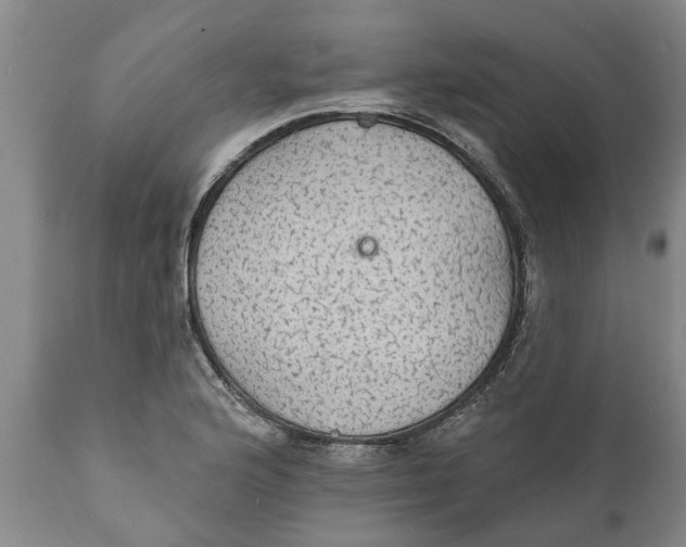 X0000111911176200908171255