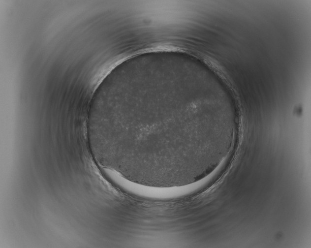 X0000111911177200908171255