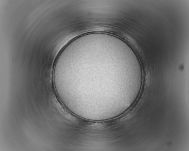 X0000111911178200908171255