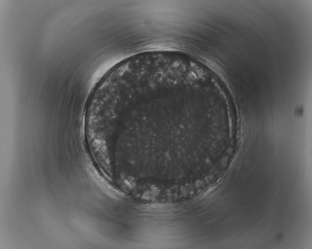 X0000111911179200908171255