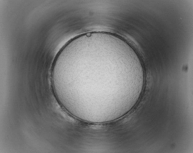 X0000111911182200908171255