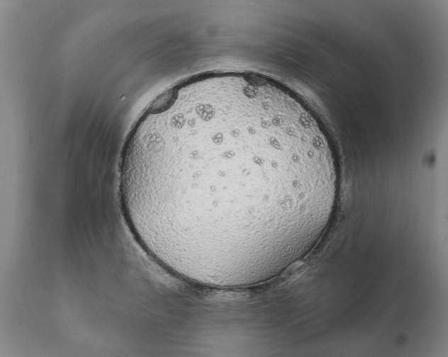 X0000111911183200908171255