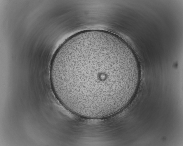 X0000111911184200908171255