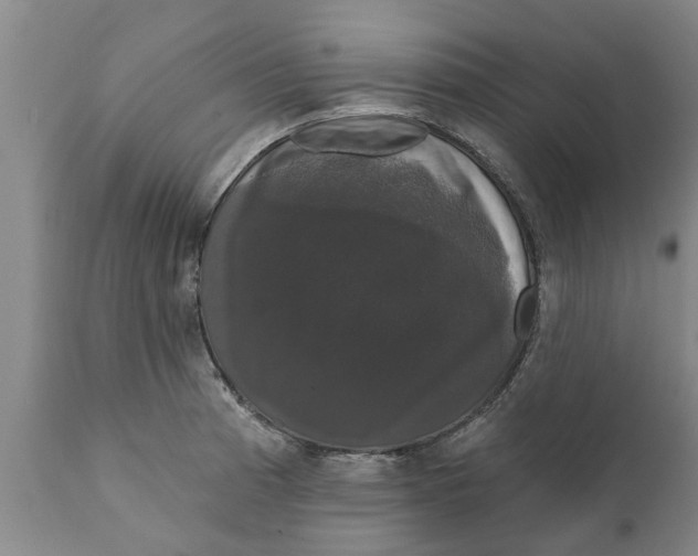 X0000111911185200908171255