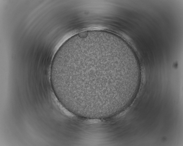 X0000111911186200908171255