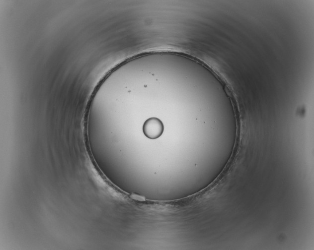 X0000111911189200908171255