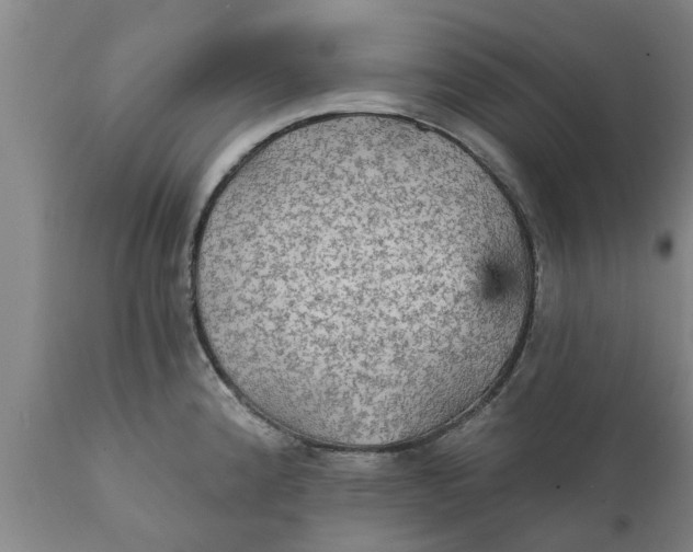 X0000111911192200908171255