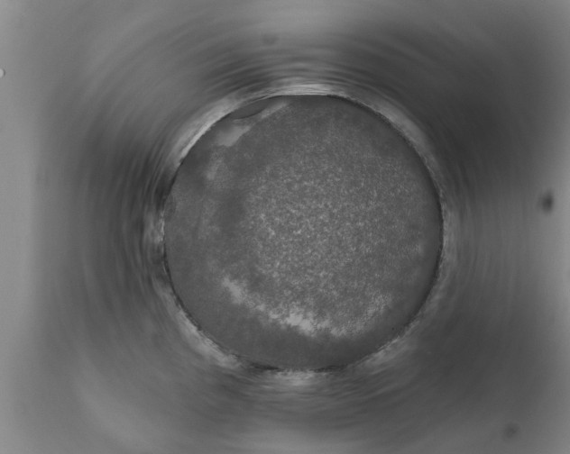 X0000111911193200908171255