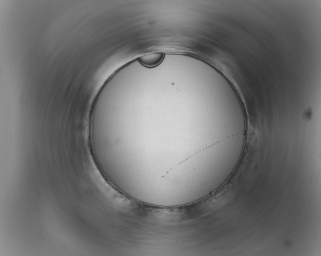 X0000111911195200908171255